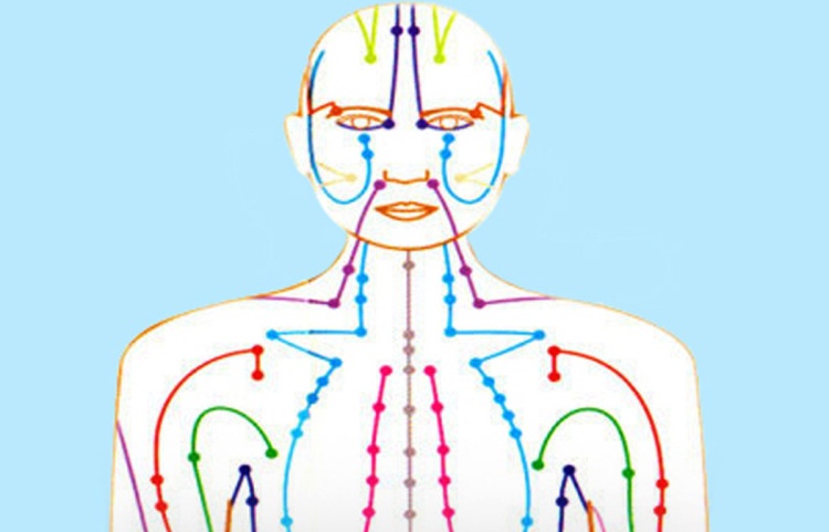 энергетические меридианы и точки на теле